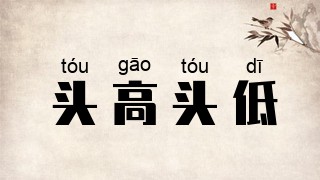 头高头低