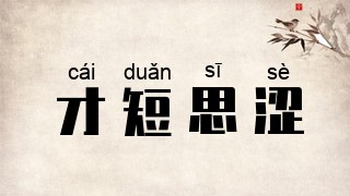 才短思涩