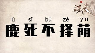 鹿死不择荫