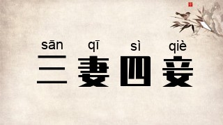 三妻四妾