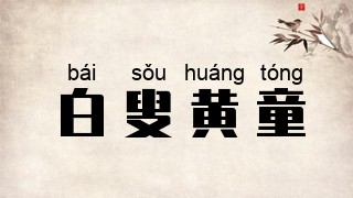 白叟黄童