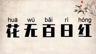 花无百日红