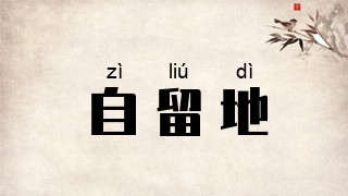 自留地