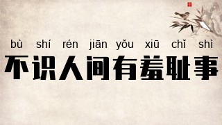 不识人间有羞耻事