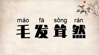 毛发耸然
