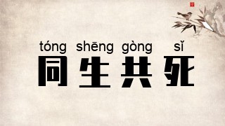 同生共死