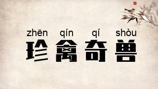 珍禽奇兽