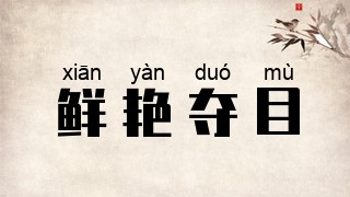 鲜艳夺目