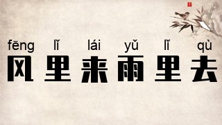 风里来雨里去