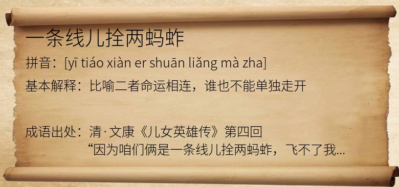 一条线儿拴两蚂蚱