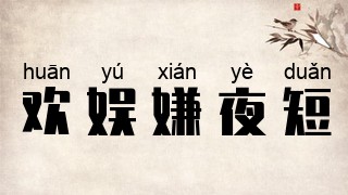 欢娱嫌夜短