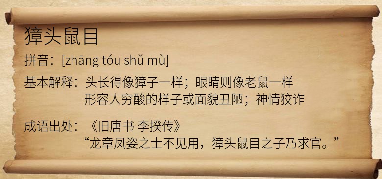 獐头鼠目