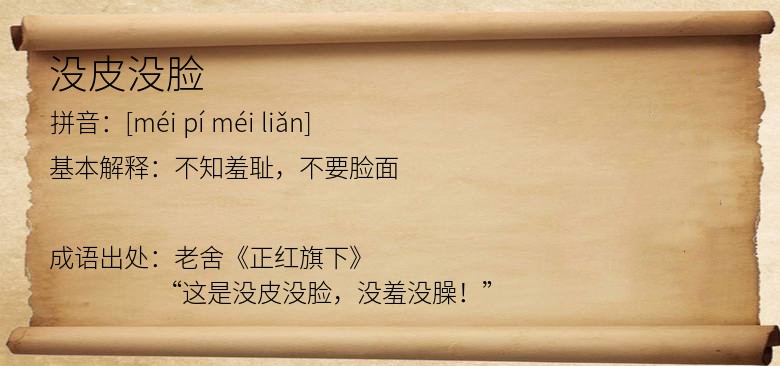 没皮没脸
