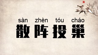 散阵投巢