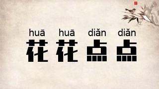 花花点点