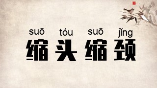 缩头缩颈