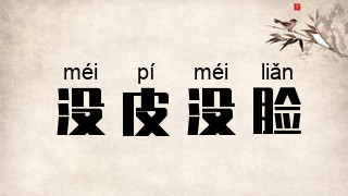 没皮没脸