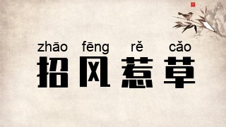 招风惹草