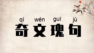 奇文瑰句