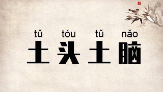 土头土脑