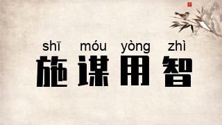 施谋用智