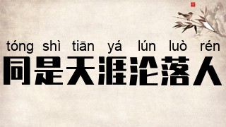 同是天涯沦落人