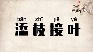 添枝接叶