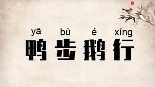 鸭步鹅行