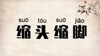 缩头缩脚