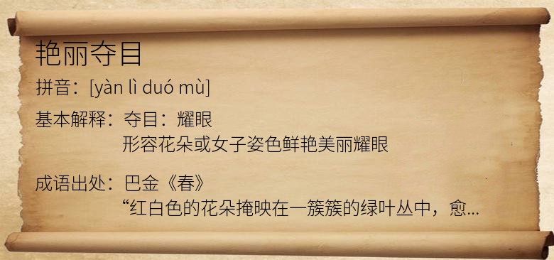 艳丽夺目