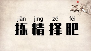 拣精择肥