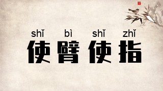 使臂使指
