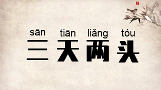 三天两头