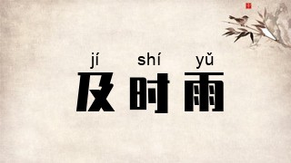 及时雨