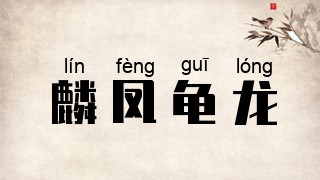 麟凤龟龙