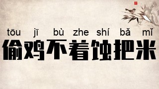偷鸡不着蚀把米