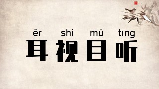 耳视目听