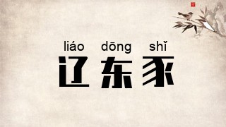 辽东豕